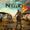 Bruce Lion - Ntare - Single